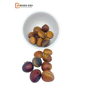 Fava Olho de Boi