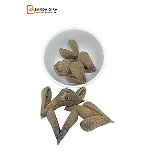 Fava Opelé Ifá