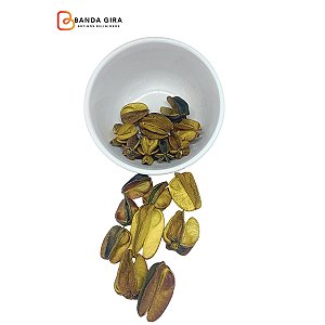 Fava Iansã - Amarela