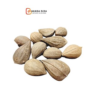 Fava Garra de Exu