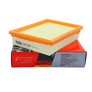 FILTRO DE AR MOTOR FAP 3289