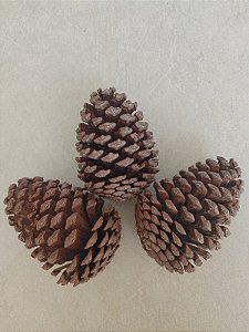 20 Pinhas Naturais