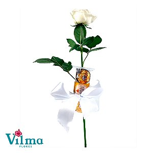 Solitário Cor Branca + Ferreiro Rocher 3 un