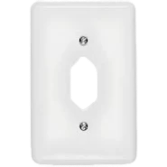 Placa para Caixa 4 X 2 para 1 Tomada Exagonal - Ilumi