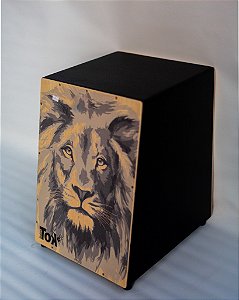 Cajon Carron Acustico Nobre Tok