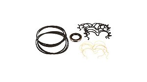 Kit Reparo bomba P365 Tripla Case 00408493