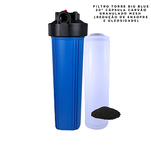 Filtro BIG Blue 20" Carvão Granulado Mesh Remoçãõ de Enxofre