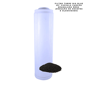 Cápsula Big Blue 20" Carvão Granulado Remoção de Enxofre