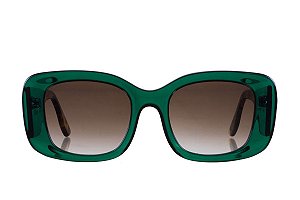 Zoey cristal verde e hastes tartaruga com lentes clássicas