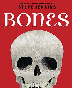 bones