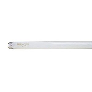 Lâmpada Fluorescente Tubular 18 Watts 60 Cm Bivolt Taschibra - 11010042 - 11010042