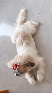 Impressão A4 papel fotografico e laminado