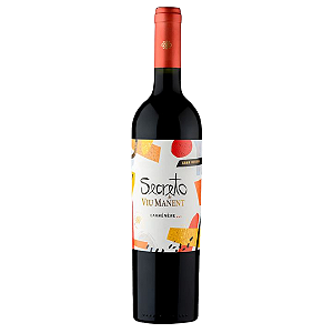 Viu Manent Secreto Carmenere Gran Reserva