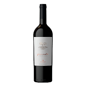 Norton Privado Family Blend