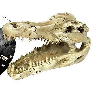 Enfeite de resina - Crânio de crocodilo NOMOYPET NS-60 13 8X8 5X6 CM