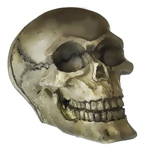 Enfeite de resina - Caveira NOMOYPET NS-104 4X6X5CM
