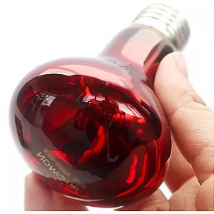 Lampada Infravermelho Aquecimento Nomoypet Nd-21 50w Répteis