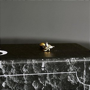 Piercing de Libélula Asas Zircônias Navetes