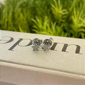 Brinco Estrela Lisa PP Steel