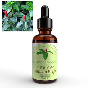 TINTURA CANA DO BREJO - 100ml Limpeza das vias urinárias