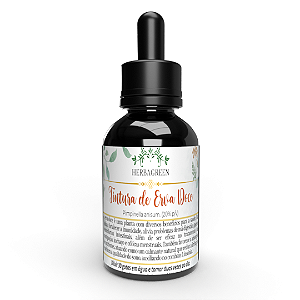 TINTURA DE ERVA DOCE - 100ml - Imunidade - Cólicas