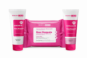 Kit Rosa Mosqueta Dermachem Completo – Limpeza, Esfoliação e Demaquilante para Pele Sensível