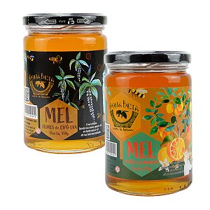 Kit mel de laranjeira 450g + mel de cipó-uva 450g