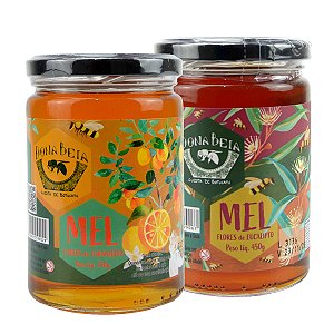 Kit mel de laranjeira 450g + mel de eucalipto 450g