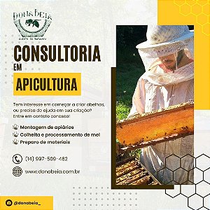 Consultoria em apicultura