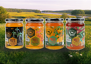 Kit completo Mel de cipó-uva 450g + Mel de laranjeira 450g + Mel silvestre 450g + Mel de eucalipto 450g