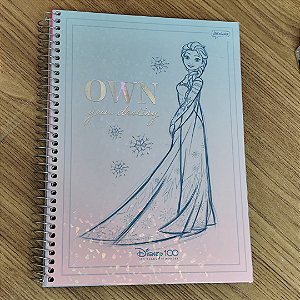 Caderno Universitário 10 Matérias 160 Folhas Disney 100Th - Frozen