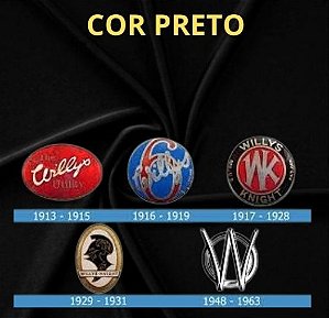 Capa para carro Willys Interlagos W1093