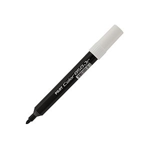 CANETA HIDROGRAFICA 850JR PRETA PILOT