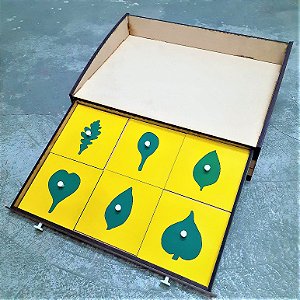 Gabinete de Botânica Montessori