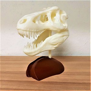 Esqueleto Tiranossauro Rex Decorativo