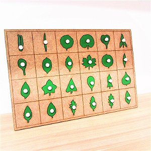 Encaixes de Botânica Montessori