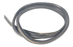 Borracha Porta Traseira Esquerda Ford Focus 2012