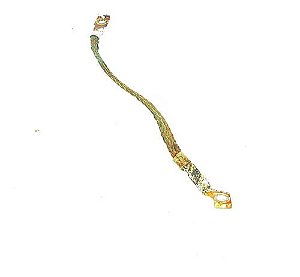 Cabo Terra Bmw X1 2017 2.0 F48 8602995