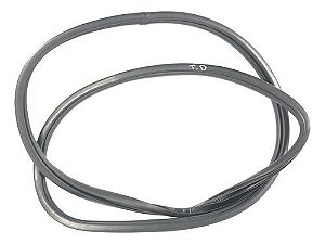 Borracha Car. Porta Tras. Dir. Hyundai Veloster 1.6 2012