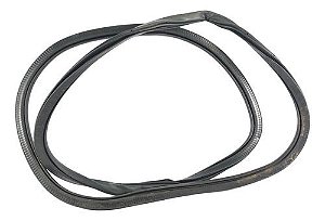 Borracha Carroceria Porta Ford Edge 2017 3.5 Tras. Esquerda