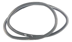 Borracha Vedação Porta Tras. Esq. Gm Cruze 2015 1.8 Ltz