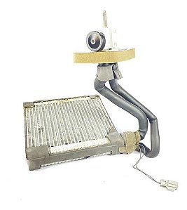 Evaporador De Ar Ford Ecosport 2019 1.5 Gn1119849aa