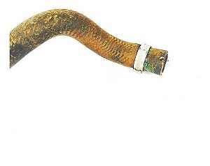 Mangueira Água Fiat Marea 2001 1.8