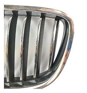 Grade Parachoque Dianteiro Bmw 550i Gt 2010