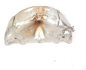 Defletor De Calor Coletor De Admissão Peugeot 308 2014 2.0