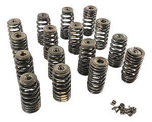 Mola Comando De Valvetronic Bmw 320i 2015 Original (unidade)