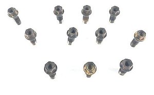 Parafuso De Roda Bmw 320i 2016 Unidade