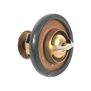 Válvula Termostática Ford Ranger 2014 2015 3.2 Xs7q8575aa