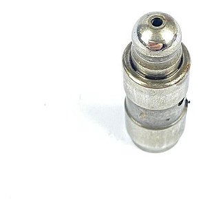 Tucho Hidráulico Comando Motor Bmw 320i 2014