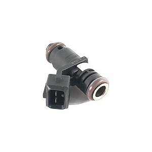 Bico Injetor Renault Duster 2.0 2018 166009398r